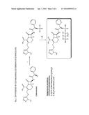 Bone Targeted Therapeutics and Methods of Making and Using the Same diagram and image