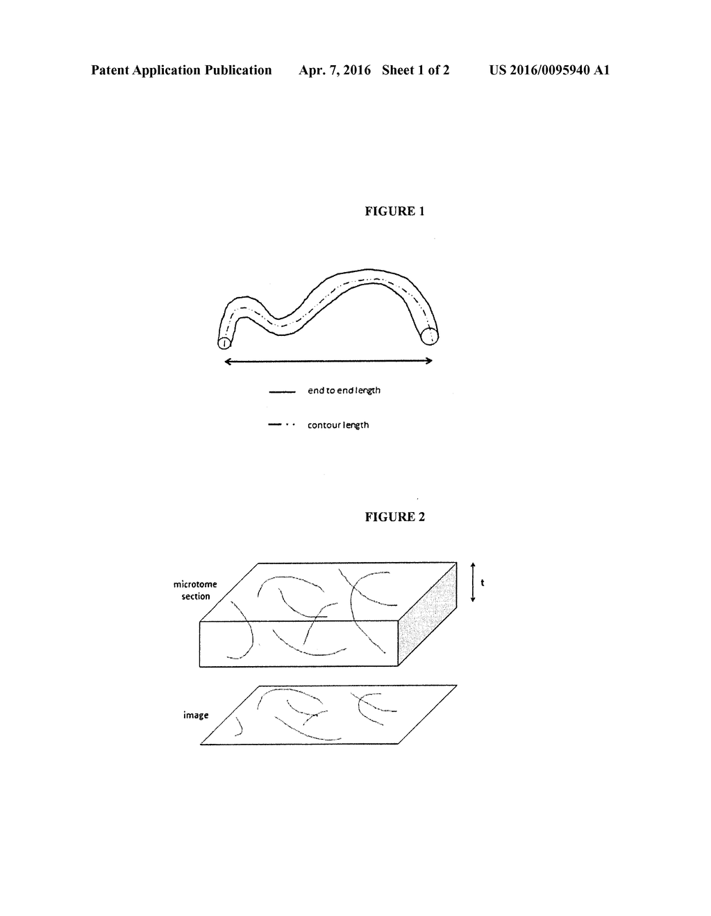 CARBON NANOTUBE NANO-THERAPY COMPOSITES WITH PACLITAXEL - diagram, schematic, and image 02