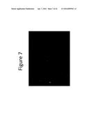 ENHANCED LOADING OF INTACT, BACTERIALLY DERIVED VESICLES WITH SMALL     MOLECULE COMPOUNDS diagram and image