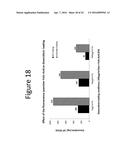 ENHANCED LOADING OF INTACT, BACTERIALLY DERIVED VESICLES WITH SMALL     MOLECULE COMPOUNDS diagram and image