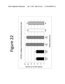 ENHANCED LOADING OF INTACT, BACTERIALLY DERIVED VESICLES WITH SMALL     MOLECULE COMPOUNDS diagram and image