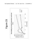 ENHANCED LOADING OF INTACT, BACTERIALLY DERIVED VESICLES WITH SMALL     MOLECULE COMPOUNDS diagram and image