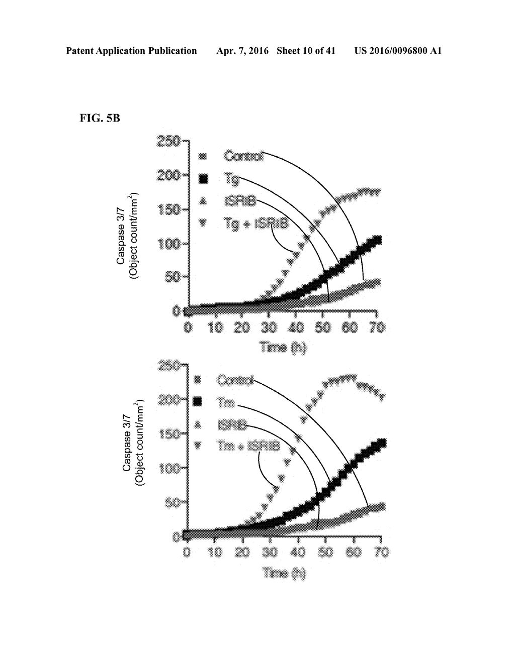 MODULATORS OF THE EIF2ALPHA PATHWAY - diagram, schematic, and image 11