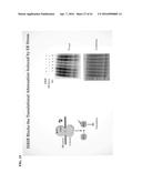 MODULATORS OF THE EIF2ALPHA PATHWAY diagram and image