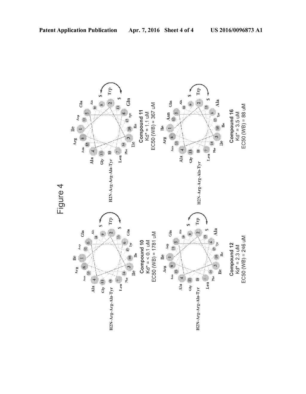 PEPTIDOMIMETIC MACROCYCLES - diagram, schematic, and image 05