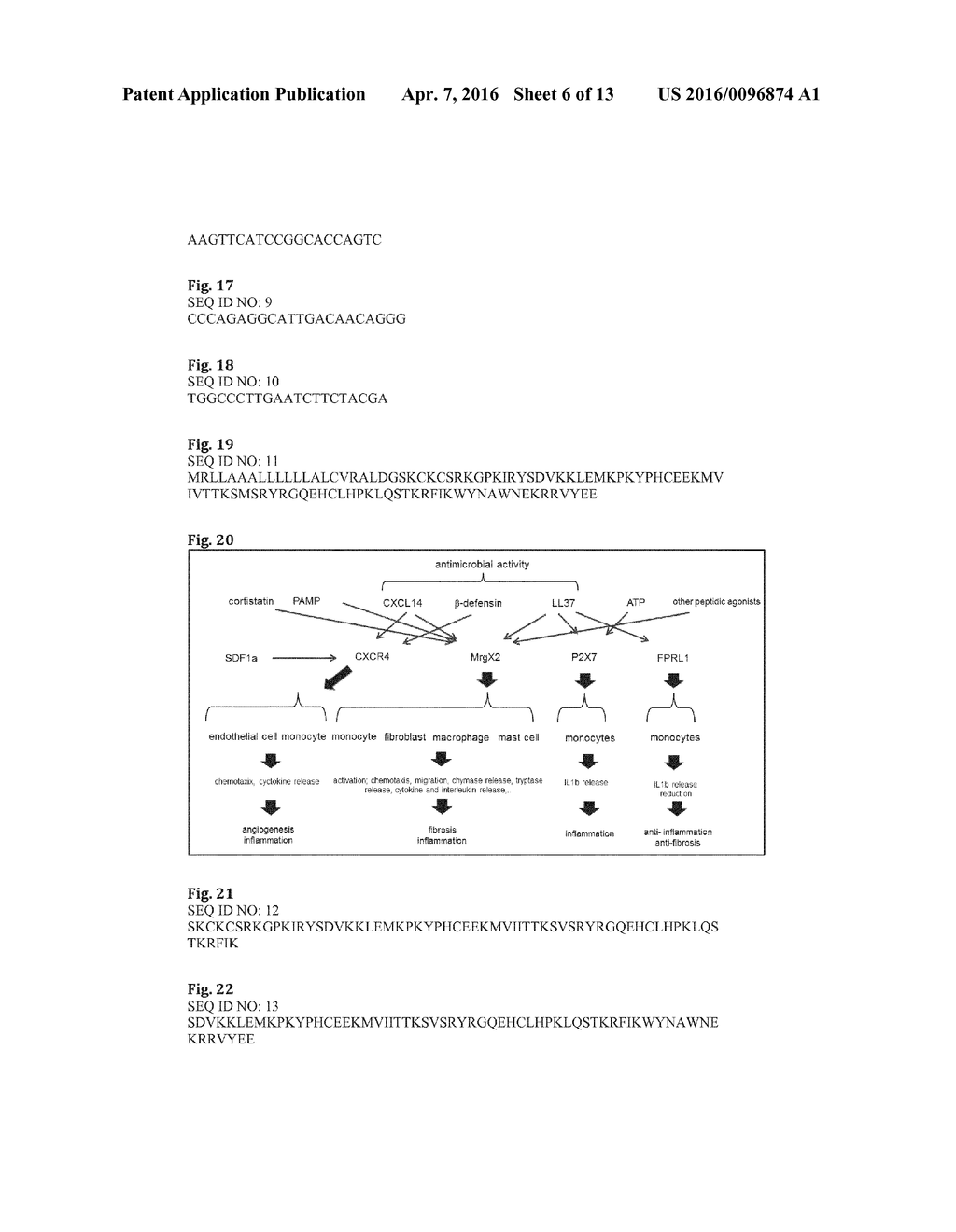 MRG RECEPTOR MODULATORS - diagram, schematic, and image 07