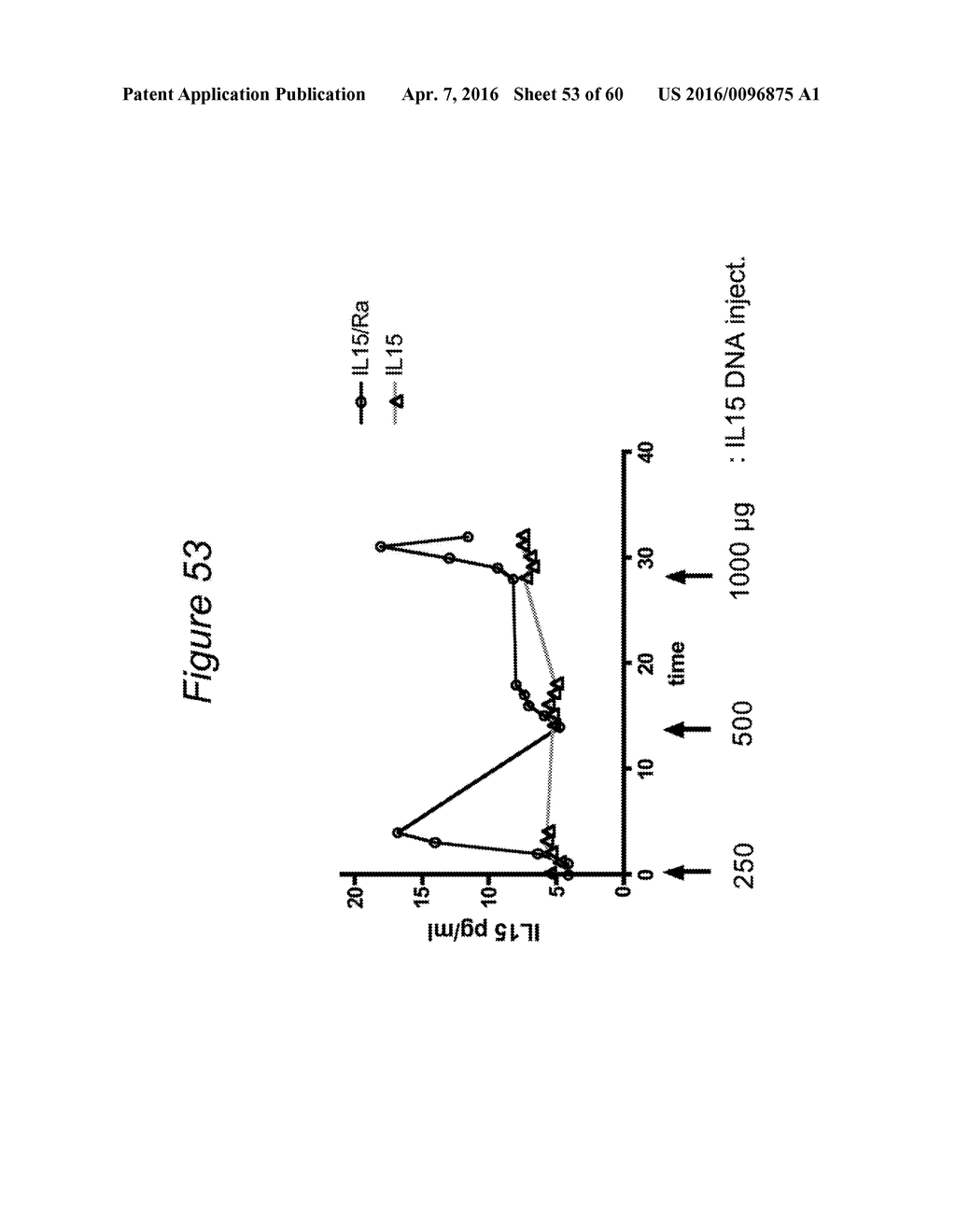 CODON OPTIMIZED IL-15 AND IL-15R-ALPHA GENES FOR EXPRESSION IN MAMMALIAN     CELLS - diagram, schematic, and image 54