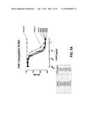 COMPOSITIONS AND METHODS OF TREATING DISEASE WITH FGFR FUSION PROTEINS diagram and image