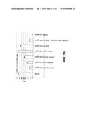 COMPOSITIONS AND METHODS OF TREATING DISEASE WITH FGFR FUSION PROTEINS diagram and image