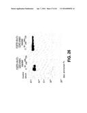 COMPOSITIONS AND METHODS OF TREATING DISEASE WITH FGFR FUSION PROTEINS diagram and image