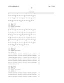 HUMAN CYTOMEGALOVIRUS NEUTRALIZING ANTIBODIES AND USE THEREOF diagram and image