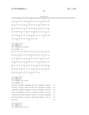 HUMAN CYTOMEGALOVIRUS NEUTRALIZING ANTIBODIES AND USE THEREOF diagram and image