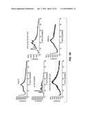 COMPOSITE MATERIALS CONTAINING STRUCTURAL POLYSACCHARIDES AND MACROCYCLIC     COMPOUNDS FORMED FROM IONIC LIQUID COMPOSITIONS diagram and image