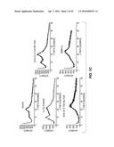 COMPOSITE MATERIALS CONTAINING STRUCTURAL POLYSACCHARIDES AND MACROCYCLIC     COMPOUNDS FORMED FROM IONIC LIQUID COMPOSITIONS diagram and image