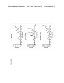 COMPOSITE MATERIALS CONTAINING STRUCTURAL POLYSACCHARIDES AND MACROCYCLIC     COMPOUNDS FORMED FROM IONIC LIQUID COMPOSITIONS diagram and image