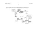 COMPOSITE MATERIALS CONTAINING STRUCTURAL POLYSACCHARIDES AND MACROCYCLIC     COMPOUNDS FORMED FROM IONIC LIQUID COMPOSITIONS diagram and image