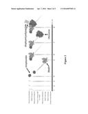 DEVICES AND METHODS FOR DISPLAY OF ENCODED PEPTIDES, POLYPEPTIDES, AND     PROTEINS ON DNA diagram and image