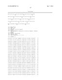 WHEAT PLANTS HAVING INCREASED RESISTANCE TO IMIDAZOLINONE HERBICIDES diagram and image