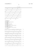 WHEAT PLANTS HAVING INCREASED RESISTANCE TO IMIDAZOLINONE HERBICIDES diagram and image