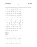 WHEAT PLANTS HAVING INCREASED RESISTANCE TO IMIDAZOLINONE HERBICIDES diagram and image