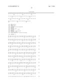 WHEAT PLANTS HAVING INCREASED RESISTANCE TO IMIDAZOLINONE HERBICIDES diagram and image