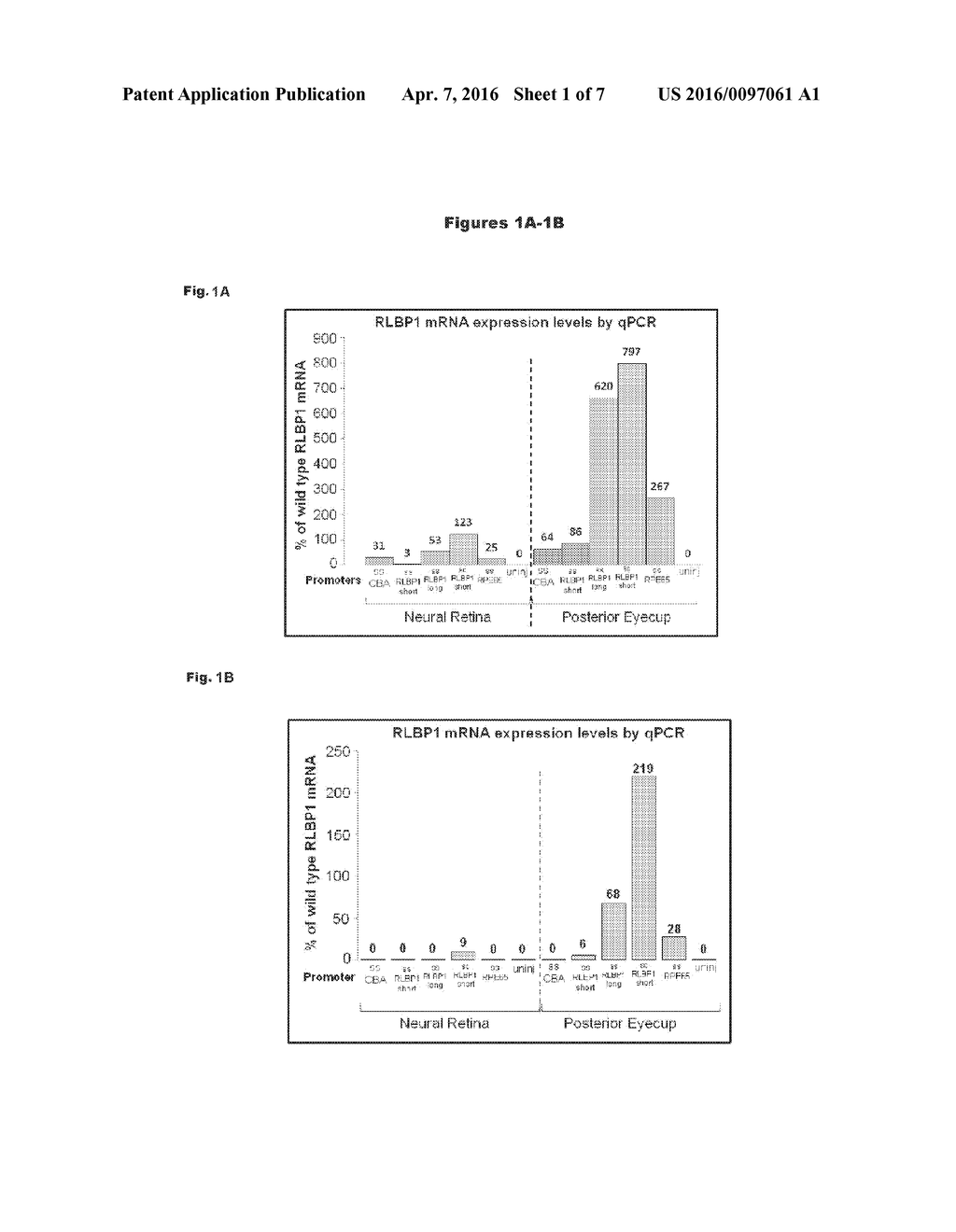 VIRAL VECTORS FOR THE TREATMENT OF RETINAL DYSTROPHY - diagram, schematic, and image 02