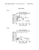 VIRAL VECTORS FOR THE TREATMENT OF RETINAL DYSTROPHY diagram and image