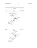 NON-CALORIC SWEETENERS AND METHODS FOR SYNTHESIZING diagram and image