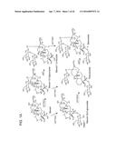 NON-CALORIC SWEETENERS AND METHODS FOR SYNTHESIZING diagram and image