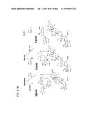 NON-CALORIC SWEETENERS AND METHODS FOR SYNTHESIZING diagram and image