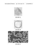 INTERNALIZATION OF PROTEINS INTO HOLLOWED GOLD NANOSTRUCTURES diagram and image
