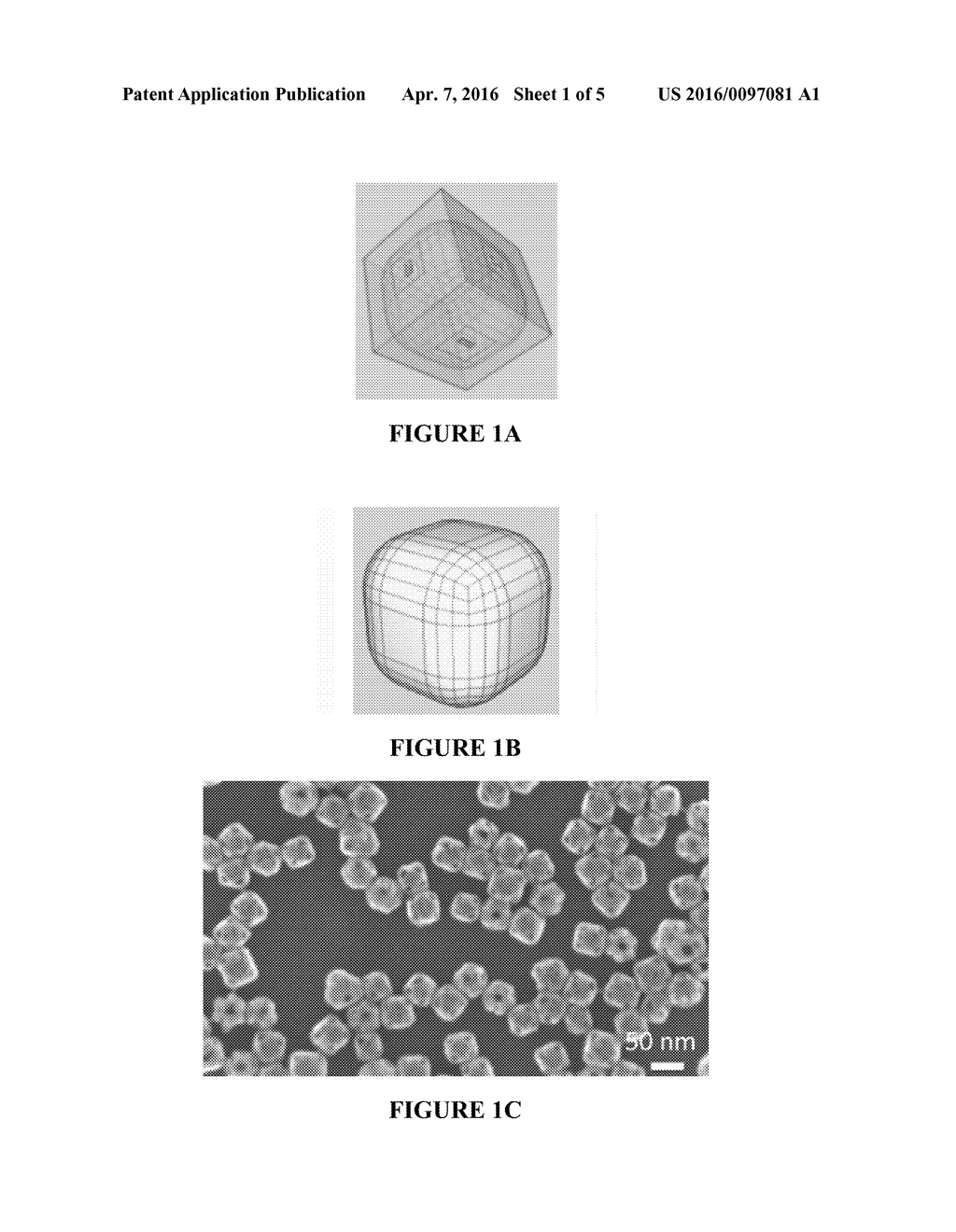 INTERNALIZATION OF PROTEINS INTO HOLLOWED GOLD NANOSTRUCTURES - diagram, schematic, and image 02