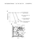 BIOMARKERS FOR THE MOLECULAR CLASSIFICATION OF BACTERIAL INFECTION diagram and image