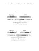 RECURRENT GENE FUSIONS IN PROSTATE CANCER diagram and image