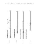 RECURRENT GENE FUSIONS IN PROSTATE CANCER diagram and image