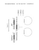 RECURRENT GENE FUSIONS IN PROSTATE CANCER diagram and image