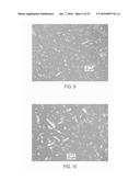 METHODS OF MAKING COCRYSTALS diagram and image