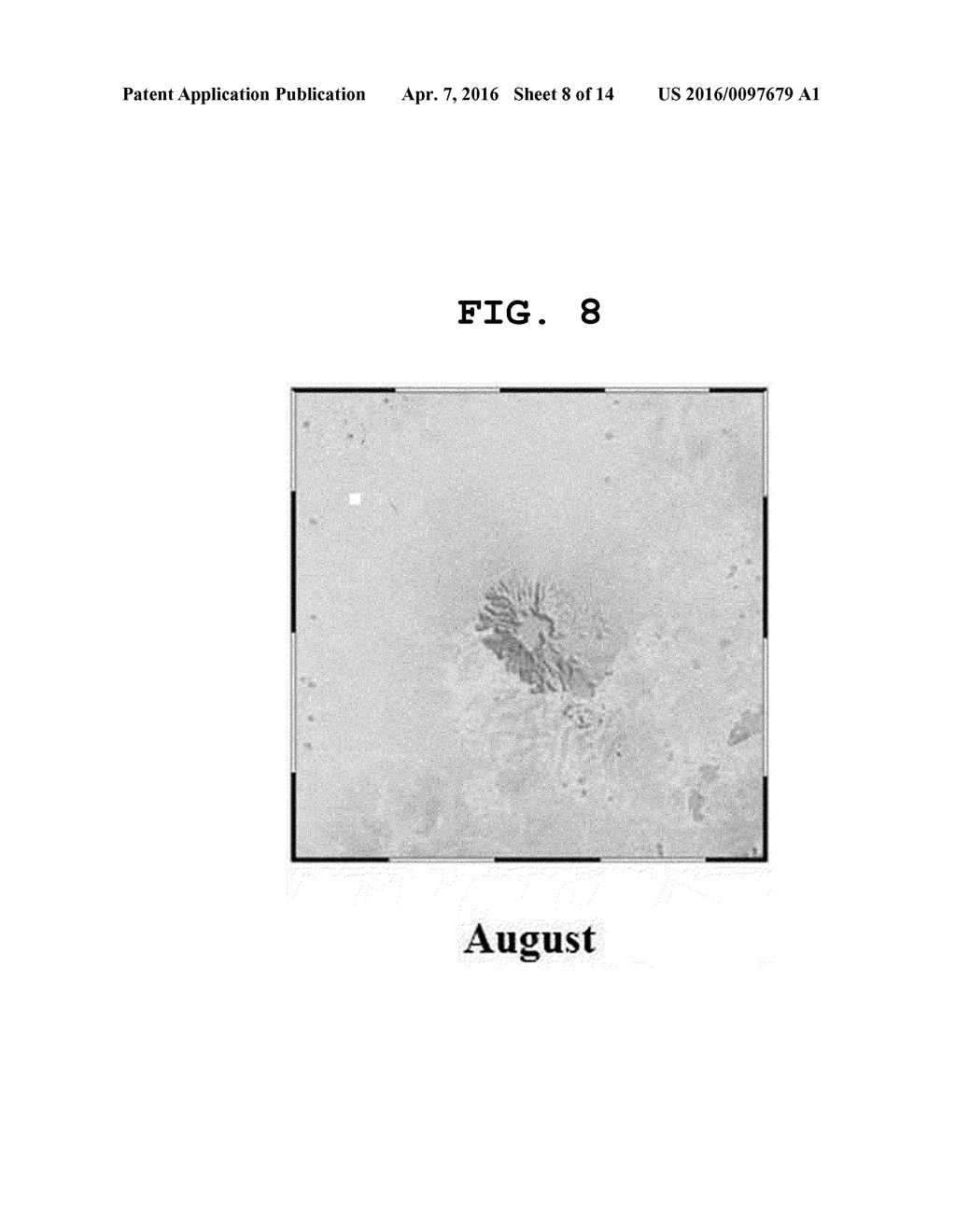 METHOD FOR ESTIMATING LAND SURFACE TERMPERATURE LAPSE RATE USING INFRARED     IMAGE - diagram, schematic, and image 09