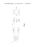 INTERCELLULAR LABELING OF LIGAND-RECEPTOR INTERACTIONS diagram and image