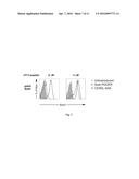 INTERCELLULAR LABELING OF LIGAND-RECEPTOR INTERACTIONS diagram and image