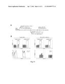 INTERCELLULAR LABELING OF LIGAND-RECEPTOR INTERACTIONS diagram and image