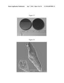 MIRROR SUBSTRATES WITH HIGHLY FINISHABLE CORROSION-RESISTANT COATING diagram and image