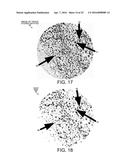 Applying Pixelwise Descriptors to a Target Image that are Generated by     Segmenting Objects in Other Images diagram and image