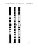 DE-SATURATED COLOUR INJECTED SEQUENCES IN A COLOUR SEQUENTIAL IMAGE SYSTEM diagram and image