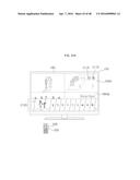 IMAGE DISPLAY APPARATUS diagram and image