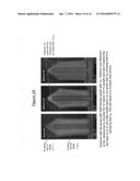 Nanowire Sized Opto-Electronic Structure and Method for Modifying Selected     Portions of Same diagram and image