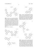 ORGANIC ELECTROLUMINESCENT MATERIALS AND DEVICES diagram and image