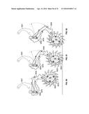 AGRICULTURAL SYSTEMS diagram and image