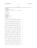 ALTERATION OF TOBACCO ALKALOID CONTENT THROUGH MODIFICATION OF SPECIFIC     CYTOCHROME P450 GENES diagram and image