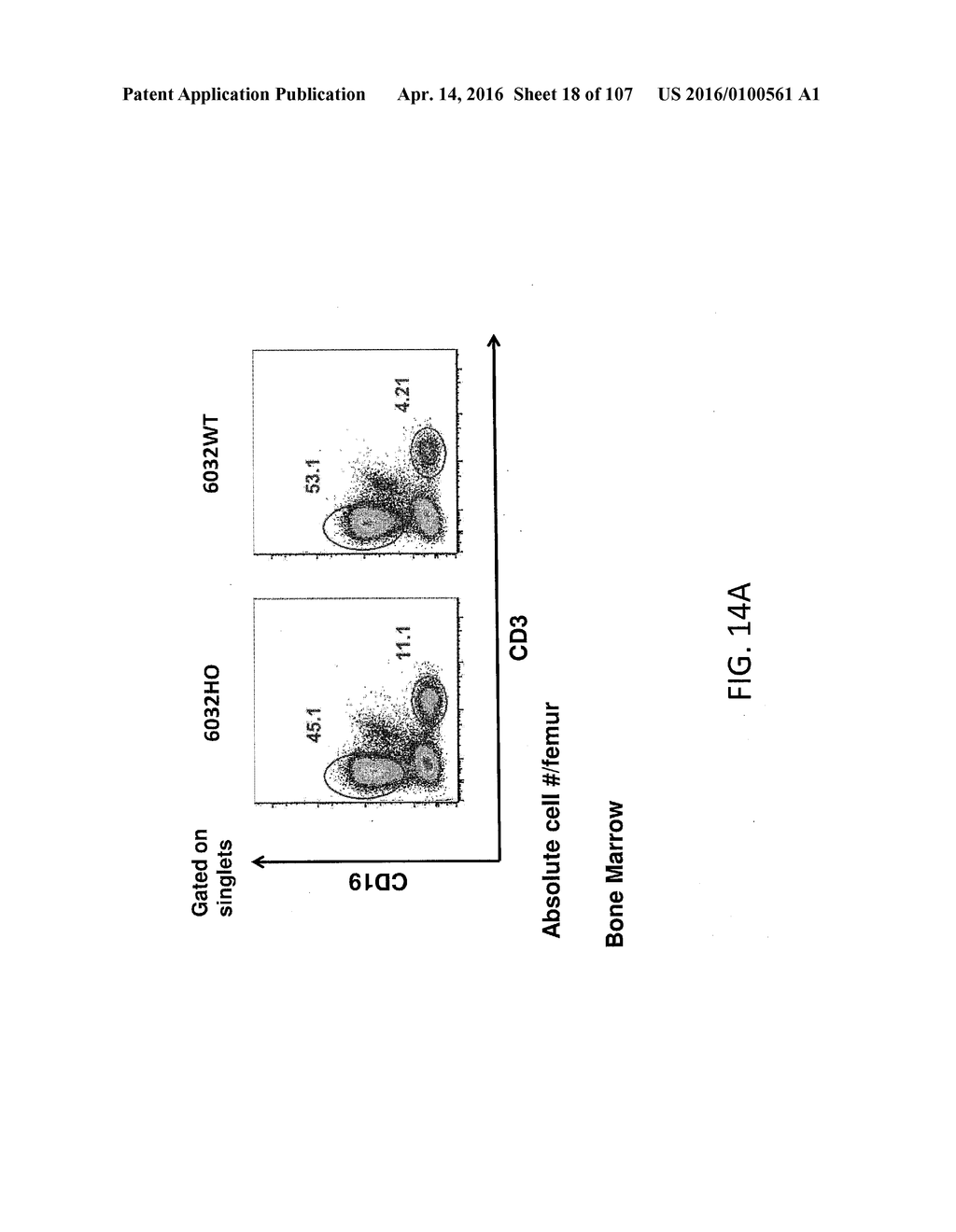 NON-HUMAN ANIMALS WITH MODIFIED IMMUNOGLOBULIN HEAVY CHAIN SEQUENCES - diagram, schematic, and image 19